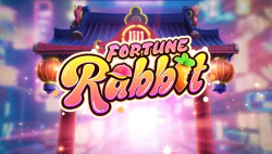 Fortune Rabbit